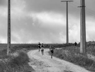 Fotogalería XI Carrera Pedestre "Entre Viñedos" en Cabañas de Polendos 103 Carreras Pedestres Entre Viñedos en Cabañas de Polendos