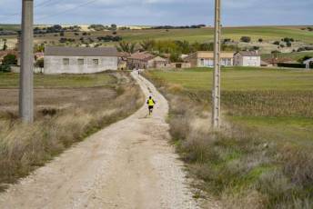 Fotogalería XI Carrera Pedestre "Entre Viñedos" en Cabañas de Polendos 63 Carreras Pedestres Entre Viñedos en Cabañas de Polendos