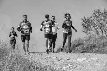 Fotogalería XI Carrera Pedestre "Entre Viñedos" en Cabañas de Polendos 102 Carreras Pedestres Entre Viñedos en Cabañas de Polendos