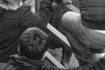 Fotogalería Gran Capea de Navidad en Bercial 48 Capea de Navidad en Bercial