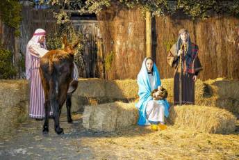 Fotogalería XXV Belén Viviente en Zarzuela del Pinar 79 Belén Viviente en Zarzuela del Pinar