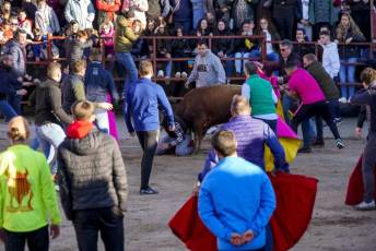 Fotogalería Gran Capea de Navidad en Bercial 50 Capea de Navidad en Bercial