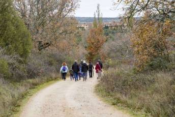 Fotogalería Mercado del Acebo en Prádena 15 Mercado del Acebo en Prádena