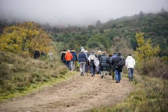 Fotogalería Mercado del Acebo en Prádena 24 Mercado del Acebo en Prádena