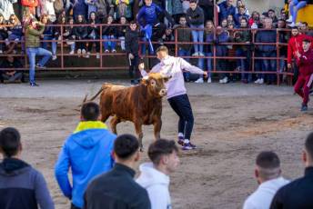Fotogalería Gran Capea de Navidad en Bercial 40 Capea de Navidad en Bercial