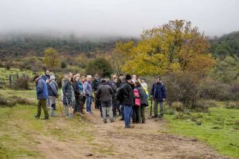 Fotogalería Mercado del Acebo en Prádena 40 Mercado del Acebo en Prádena