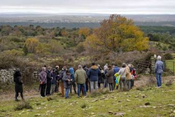 Fotogalería Mercado del Acebo en Prádena 25 Mercado del Acebo en Prádena