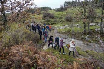 Fotogalería Mercado del Acebo en Prádena 17 Mercado del Acebo en Prádena