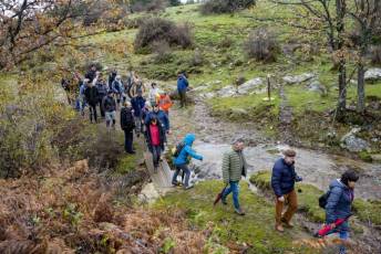 Fotogalería Mercado del Acebo en Prádena 36 Mercado del Acebo en Prádena