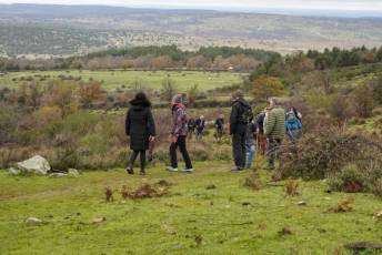 Fotogalería Mercado del Acebo en Prádena 39 Mercado del Acebo en Prádena