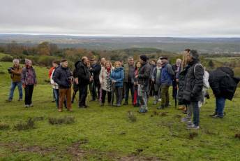 Fotogalería Mercado del Acebo en Prádena 7 Mercado del Acebo en Prádena