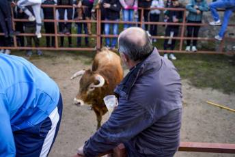 Fotogalería Gran Capea de Navidad en Bercial 13 Capea de Navidad en Bercial