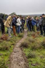 Fotogalería Mercado del Acebo en Prádena 31 Mercado del Acebo en Prádena