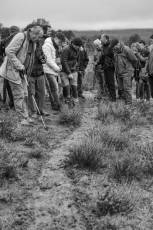 Fotogalería Mercado del Acebo en Prádena 9 Mercado del Acebo en Prádena