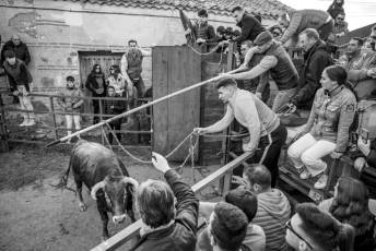Fotogalería Gran Capea de Navidad en Bercial 15 Capea de Navidad en Bercial