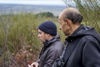Fotogalería Mercado del Acebo en Prádena 38 Mercado del Acebo en Prádena
