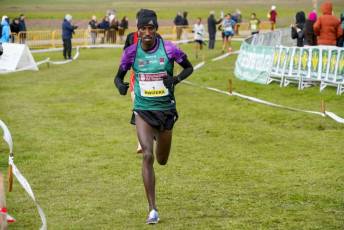 Fotogalería 51ª Edición Cross de Cantimpalos 52 51 Edición Cross Cantimpalos