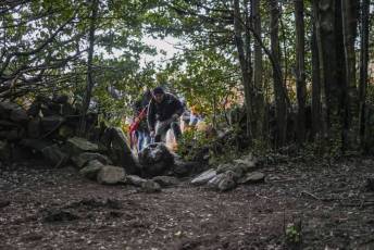 Fotogalería Mercado del Acebo en Prádena 8 Mercado del Acebo en Prádena