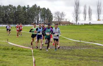 Fotogalería 51ª Edición Cross de Cantimpalos 66 51 Edición Cross Cantimpalos