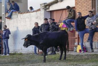 Fotogalería Gran Capea de Navidad en Bercial 58 Capea de Navidad en Bercial