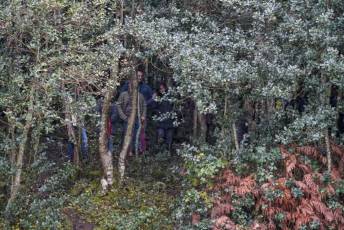 Fotogalería Mercado del Acebo en Prádena 12 Mercado del Acebo en Prádena