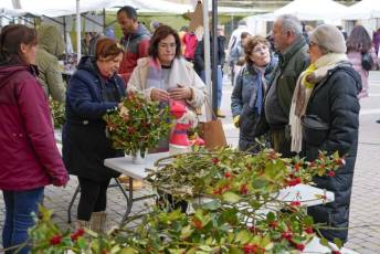 Fotogalería Mercado del Acebo en Prádena 21 Mercado del Acebo en Prádena