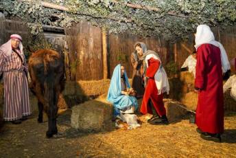 Fotogalería XXV Belén Viviente en Zarzuela del Pinar 114 Belén Viviente en Zarzuela del Pinar