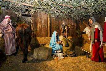 Fotogalería XXV Belén Viviente en Zarzuela del Pinar 27 Belén Viviente en Zarzuela del Pinar