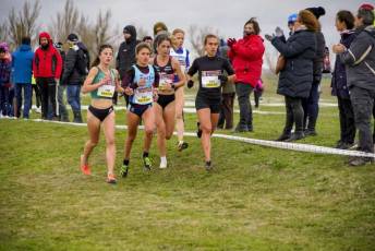 Fotogalería 51ª Edición Cross de Cantimpalos 84 51 Edición Cross Cantimpalos