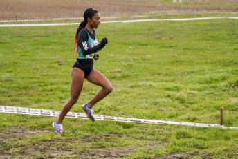 Fotogalería 51ª Edición Cross de Cantimpalos 60 51 Edición Cross Cantimpalos