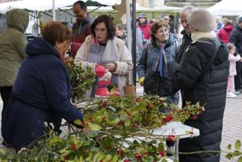 Fotogalería Mercado del Acebo en Prádena 20 Mercado del Acebo en Prádena