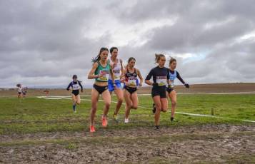 Fotogalería 51ª Edición Cross de Cantimpalos 28 51 Edición Cross Cantimpalos