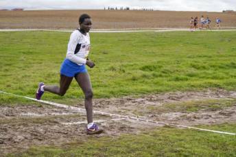 Fotogalería 51ª Edición Cross de Cantimpalos 2 51 Edición Cross Cantimpalos