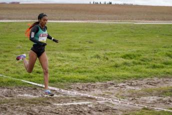 Fotogalería 51ª Edición Cross de Cantimpalos 34 51 Edición Cross Cantimpalos