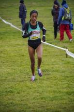 Fotogalería 51ª Edición Cross de Cantimpalos 92 51 Edición Cross Cantimpalos