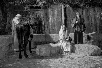 Fotogalería XXV Belén Viviente en Zarzuela del Pinar 97 Belén Viviente en Zarzuela del Pinar