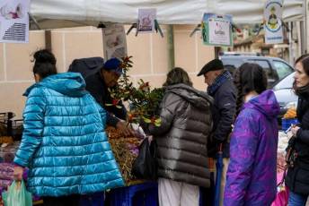 Fotogalería Mercado del Acebo en Prádena 16 Mercado del Acebo en Prádena