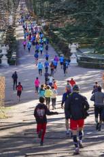 Fotogaleria Vuelta a los Jardines de la Granja 45 Carrera Popular Vuelta a los Jardines de la Granja