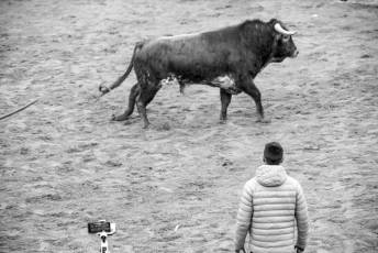 Fotogaleria Fiestas San Sebastián en Villacastín 21 Fiestas San Sebastian en Villacastín