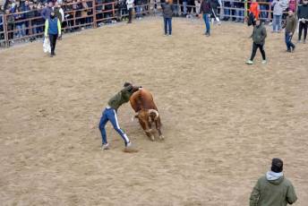 Fotogaleria Fiestas San Sebastián en Villacastín 39 Fiestas San Sebastian en Villacastín