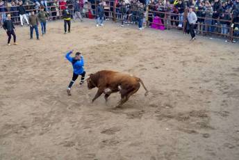 Fotogaleria Fiestas San Sebastián en Villacastín 27 Fiestas San Sebastian en Villacastín