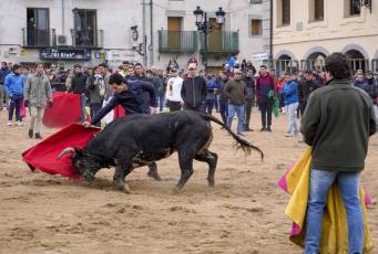 Fotogaleria Fiestas San Sebastián en Villacastín 24 Fiestas San Sebastian en Villacastín