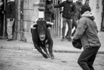 Fotogaleria Fiestas San Sebastián en Villacastín 11 Fiestas San Sebastian en Villacastín