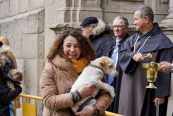 Fotogalería Fiestas San Antón en El Espinar 49 Fiestas San Antón en El Espinar