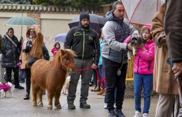 Fotogalería Fiestas San Antón en El Espinar 38 Fiestas San Antón en El Espinar