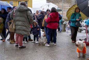 Fotogalería Fiestas San Antón en El Espinar 60 Fiestas San Antón en El Espinar