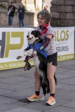 Fotogalería XII Carrera Monumental Innoporc Ciudad de Segovia 42 Carrera Monumental de Segovia