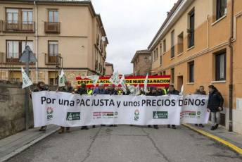 Fotogalería Manifestación Sector Primario en Segovia 16 Manifestacion Agricultores en Segovia