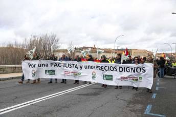 Fotogalería Manifestación Sector Primario en Segovia 20 Manifestacion Agricultores en Segovia