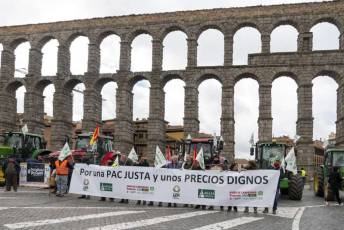 Fotogalería Manifestación Sector Primario en Segovia 44 Manifestacion Agricultores en Segovia